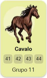grupo 11 Cavalo